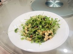 桃仁香椿苗-烤肉宛饭庄(北新桥店)