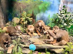 -湖南省地质博物馆