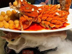-吴越荣记苏州菜·松鼠桂鱼 100% 活鱼现做(月光码头店)