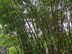 -南湾湖