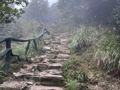-梧桐山风景名胜区