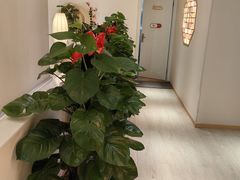 -手舒·采耳按摩·影院足道spa(莫愁湖东路店)