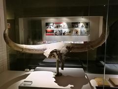-宁夏博物馆