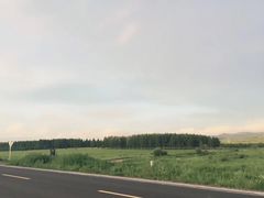 -御道口草原森林风景区