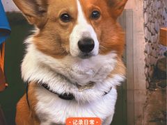 -三圣花乡旅游区