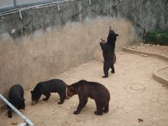 -无锡动物园·太湖欢乐园