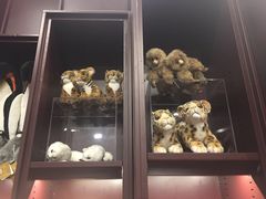 -当当梅溪书院(步步高梅溪新天地店)