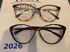 -三叶眼镜城批发市场(上海火车站店)