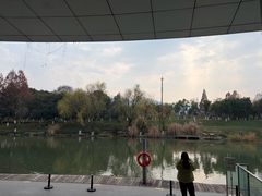 -中国湿地博物馆