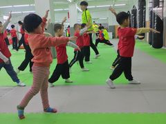 -武术世家少儿培训中心(首都体育学院店)