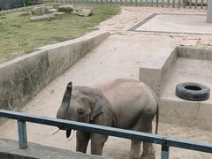 -上方山森林动物世界