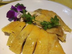 招牌湛江白切鸡-新高记·粤菜·湛江鸡(南头古城店)