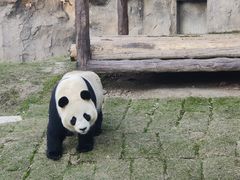-上海野生动物园