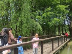 -苏州太湖国家湿地公园