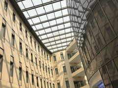 -首都医科大学附属北京天坛医院