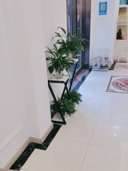 -香秀空间科技抗衰·美容中心