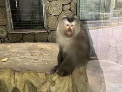 -黔灵山公园