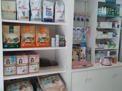 -爱贝特动物医院·猫口炎专科