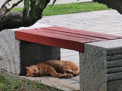 -北坞公园