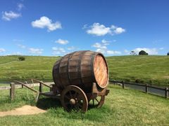 Hobbiton&nbsp;Movie&nbsp;Set&nbsp;Tours-霍比特人村