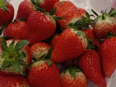 -PAGODA百果园(台柳路凯德广场店)