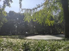 -温江公园