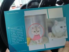 -美联众合动物医院·24h转诊中心
