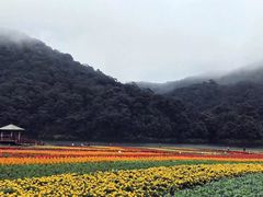 -广州市石门国家森林公园
