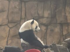 -泉州海丝野生动物世界