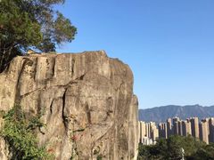 -金鸡山公园