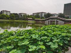 -西海子公园