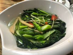 -东鸽皇(奥园·中环广场店)