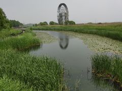 -太湖湖滨国家湿地公园-停车场