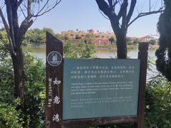 -日照海滨国家森林公园