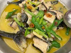 -饭怕鱼·黄焖鲟龙鱼(湖大店)