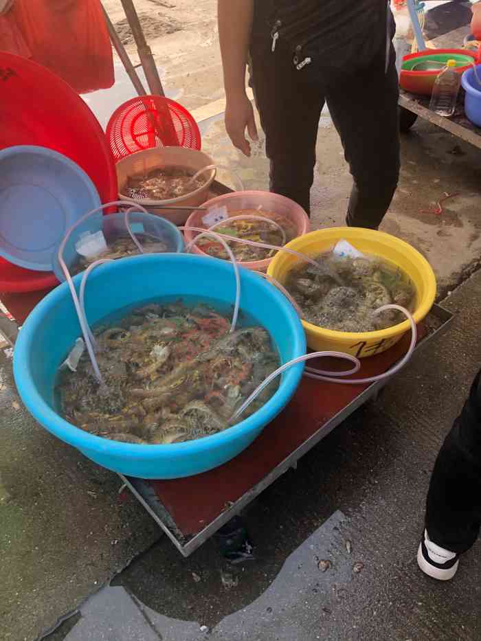 马宫水产品批发市场-"马宫社区的水产品批发市场,离汕尾城区还有.