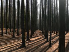 -山王坪喀斯特国家生态公园