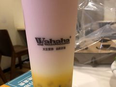 -娃哈哈·奶茶(武林店)