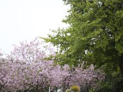 -海珠儿童公园