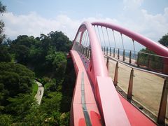 -金鸡山公园