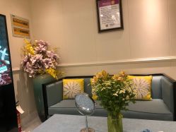 -静博士·养生养颜