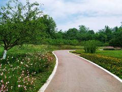 -桤木河湿地公园