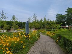 -洨河生态公园