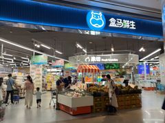 -盒马鲜生(岭南新世界店)