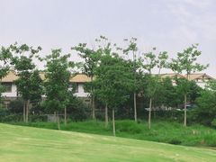 -空港花田景区