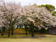 -水前寺成趣园