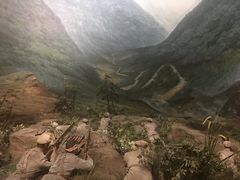 -遵义会议纪念馆