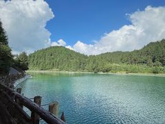 -武陵山森林公园