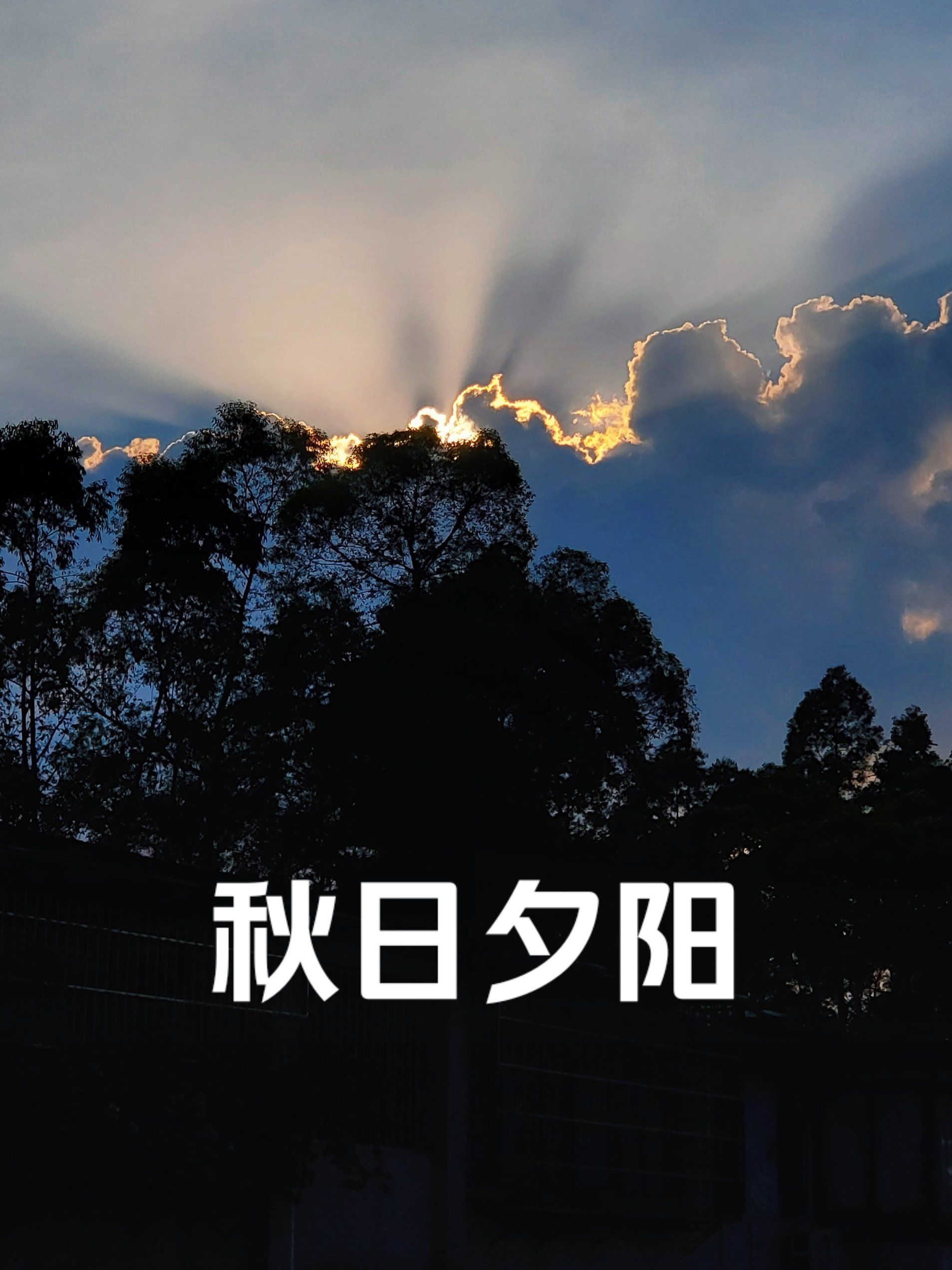 秋日夕阳-随手记录身边的美景