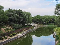 -大兴滨河森林公园